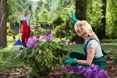Garden landscaping in Enfield Wash with patio and planting
