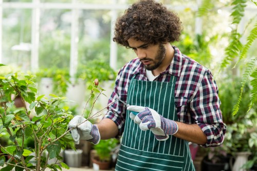 Gardeners Enfield Wash creating a tidy and welcoming outdoor space