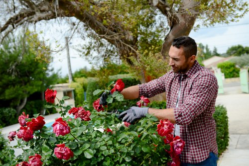 Professional gardening complaints procedure