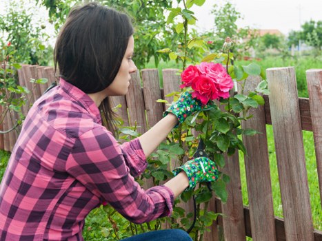 Grass maintenance in Enfield Wash with mowing, feeding, and weed control