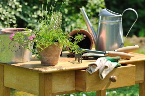 Cubic-yard estimate for an overgrown back garden clearance in Enfield Wash