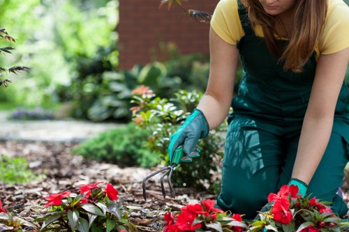 Pressure washing equipment used for patio cleaning in Enfield Wash