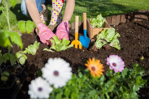Reliable Enfield Wash garden care for attractive lawns and borders