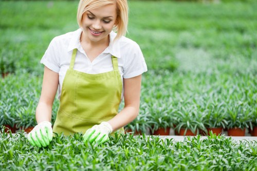Seasonal hedge maintenance in an Enfield Wash garden