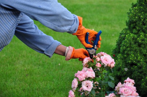 Complaints resolution after garden work