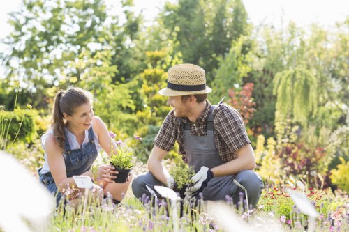 Insured gardening service in Enfield Wash with trained staff