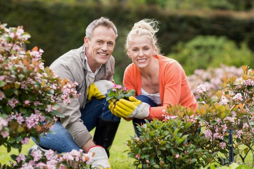 Professional garden maintenance in Enfield Wash with seasonal care
