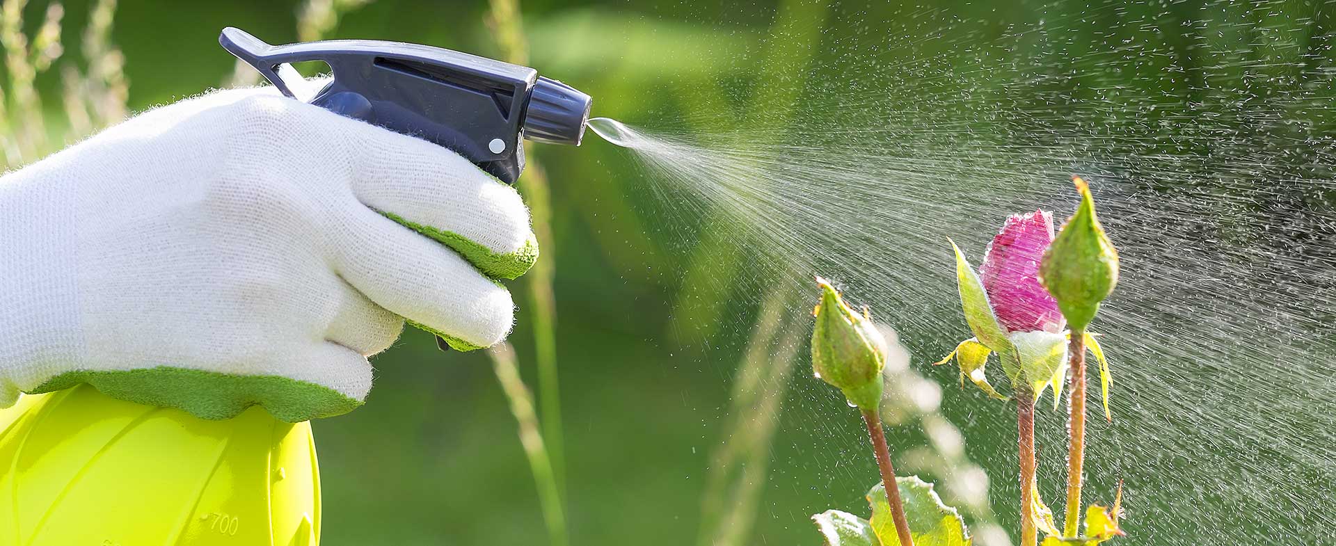 Gardeners Enfield Wash